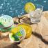 Zelena oaza Provanse: Miris citronovca - ikonični je miris ljeta