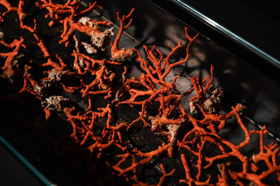  | Autor: www.hckz.hr