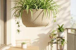 FOTO: Bacamo se na uređenje terase ili balkona. Ove Sinsay tegle za biljke će im dati dozu šarma