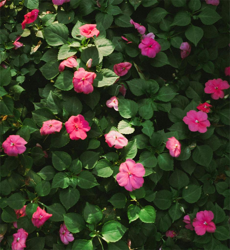  | Autor: Paul Yong/ Unsplash