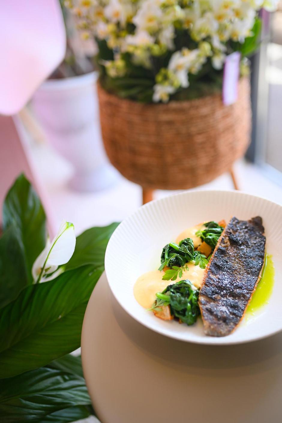  | Autor: Pixsell/ Josip Regović/ Pixsell