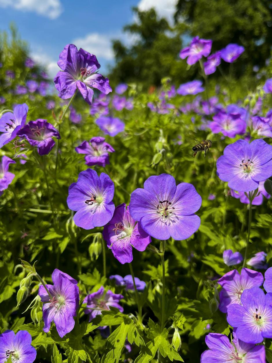 | Autor: Pexels/Nikola Pavlačková