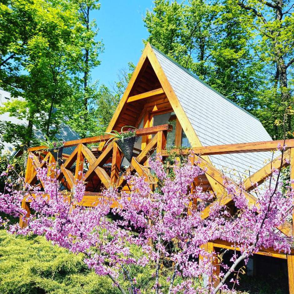  | Autor: Booking/Kuća za odmor Bitoševje