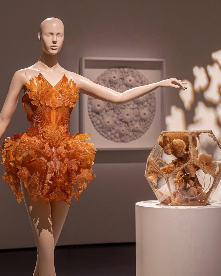  | Autor: Instagram / @irisvanherpen