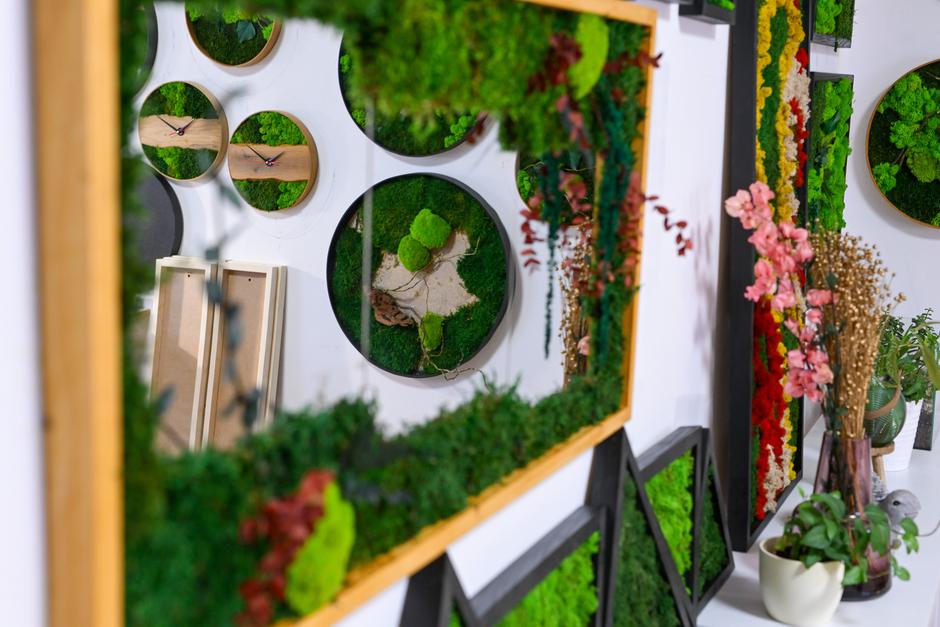  | Autor: Pixsell/Igor Šoban