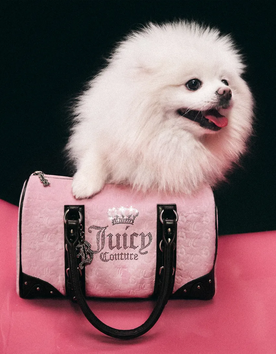  | Autor: Juicy Couture x Bershka