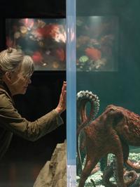 Netflixov film Remakably Bright Creatures