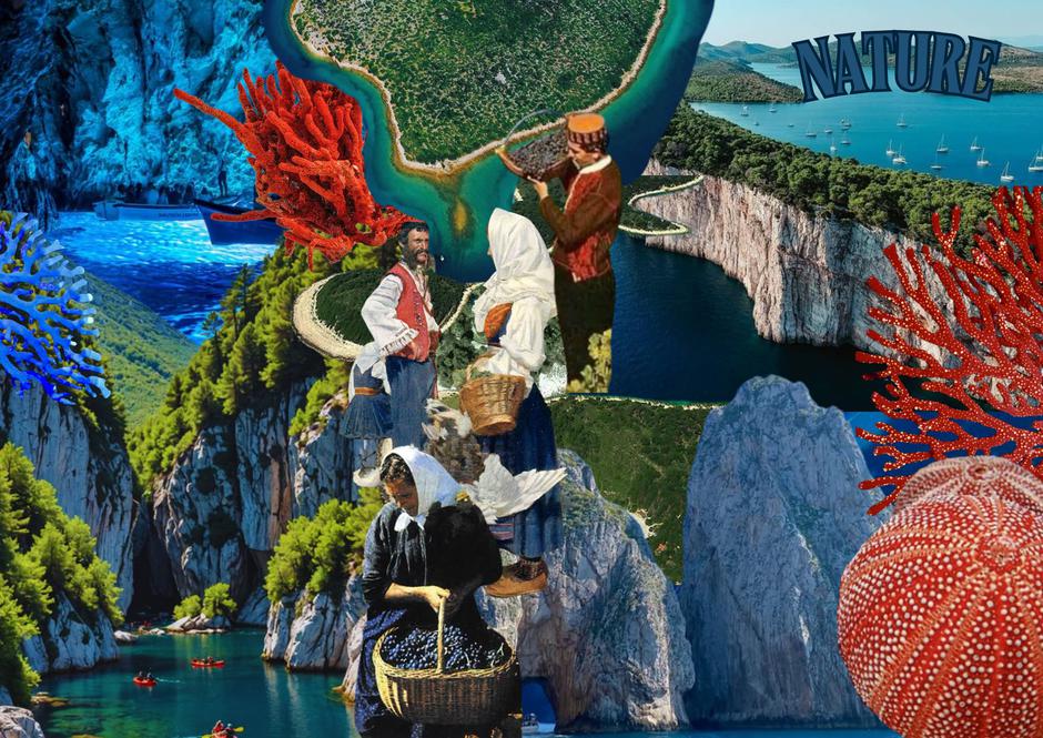  | Autor: zelina doncic