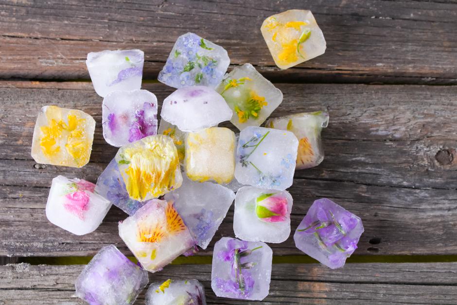 Kockice leda sa cvijećem | Autor: Shutterstock