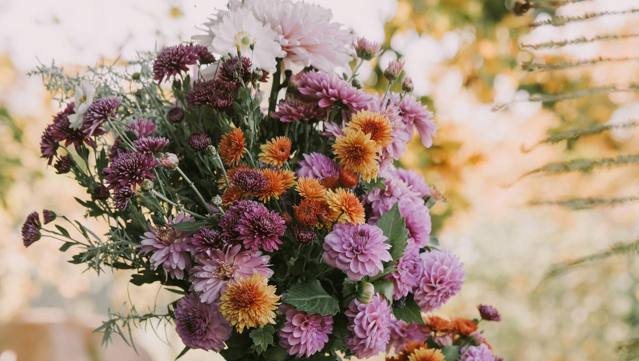 Cvijeće koje cvate u jesen