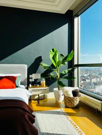 Uzgoj banane u svom domu