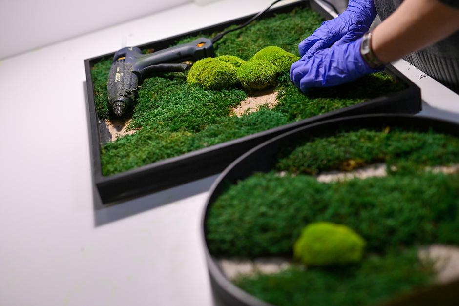  | Autor: Pixsell/Igor Šoban