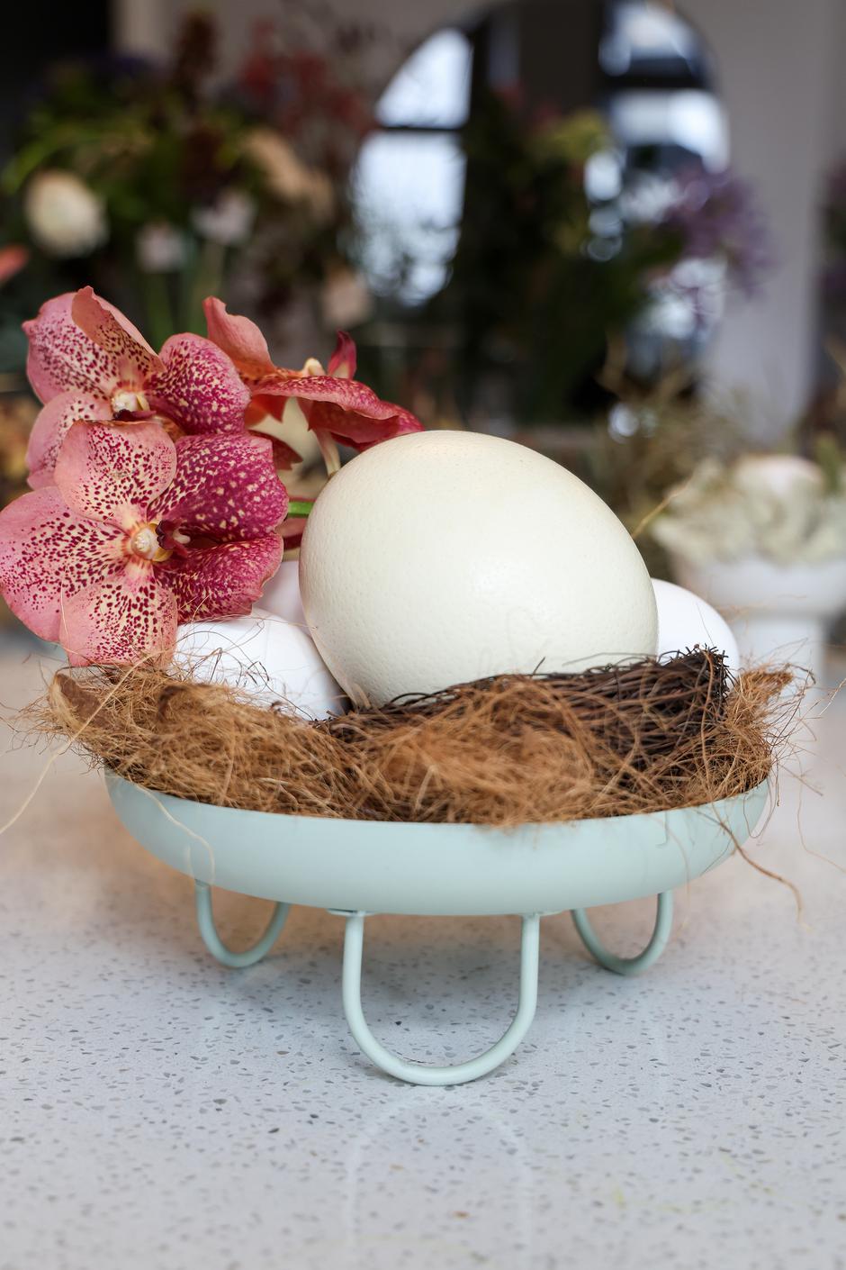  | Autor: Matija Habljak/Pixsell