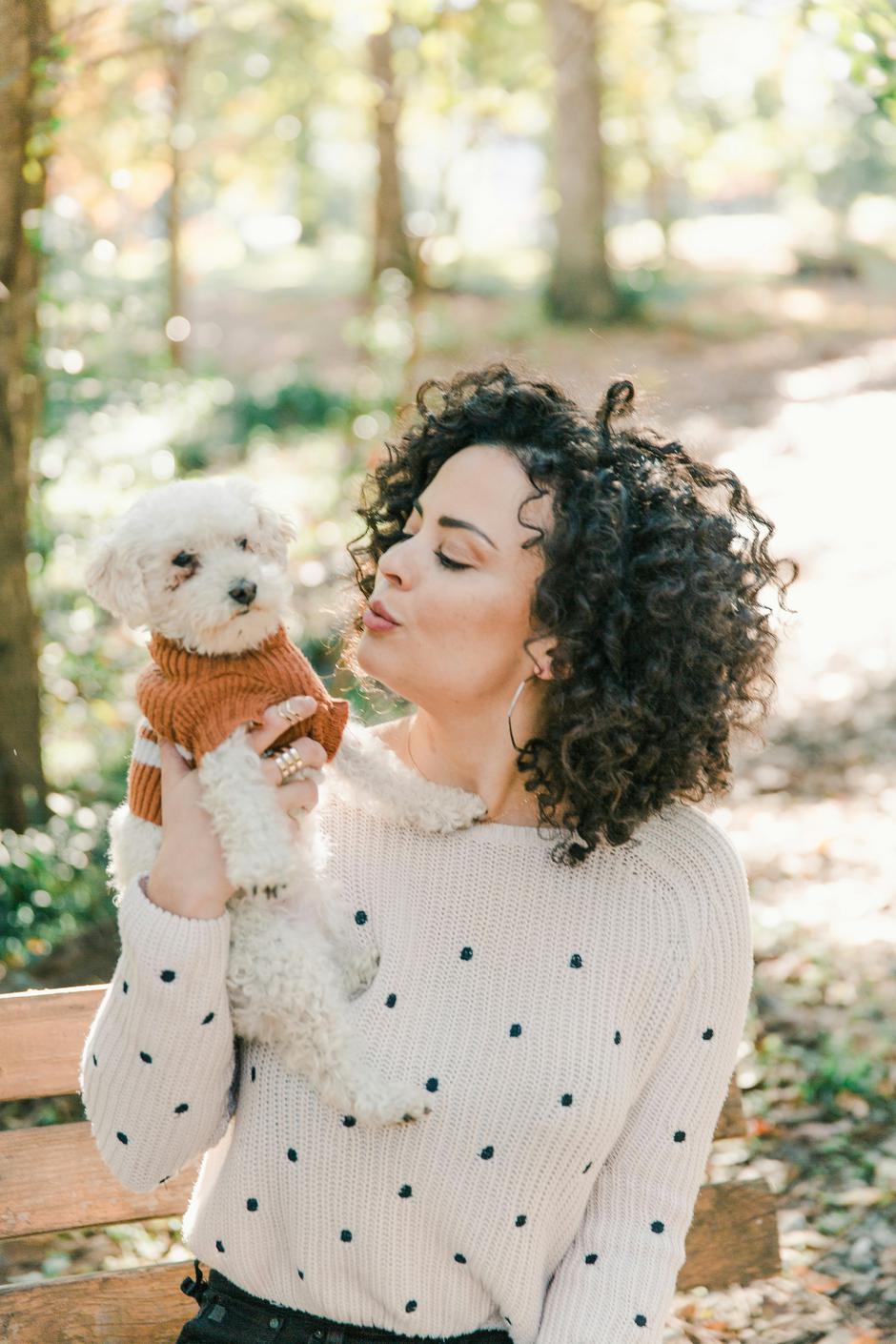  | Autor: Unsplash/Honest Paws