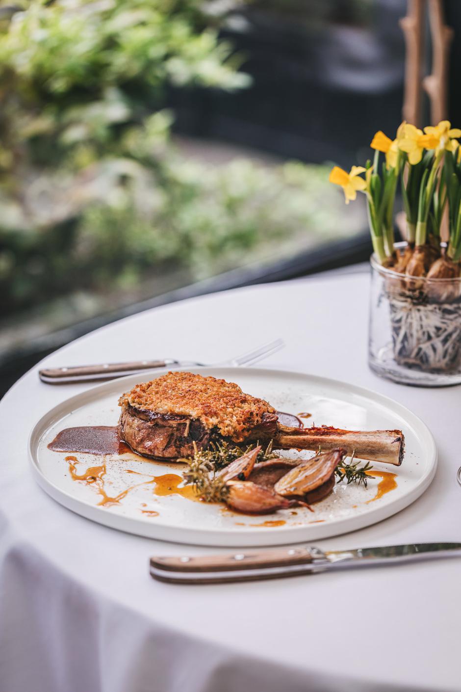  | Autor: Arhiva hotela Esplanade