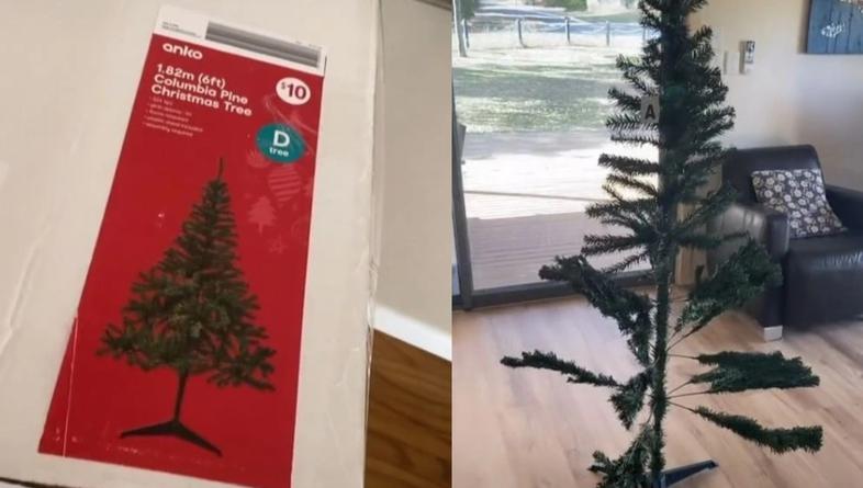 Naručila je raskošno božićno drvce, a stiglo je ovo