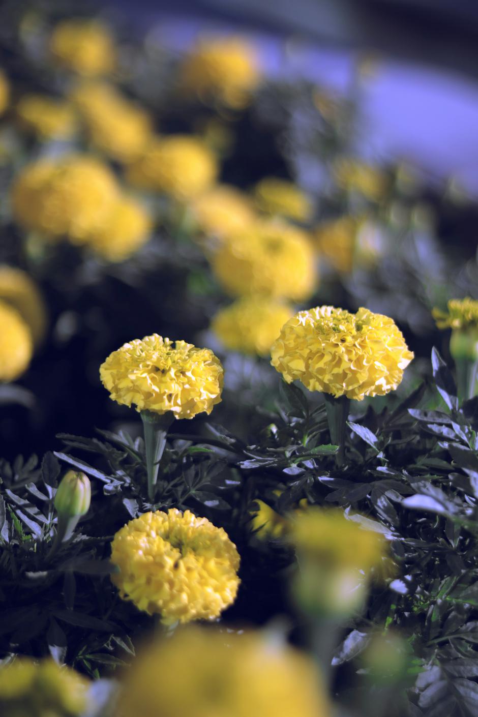  | Autor: Unsplash / Habib Dadkhah