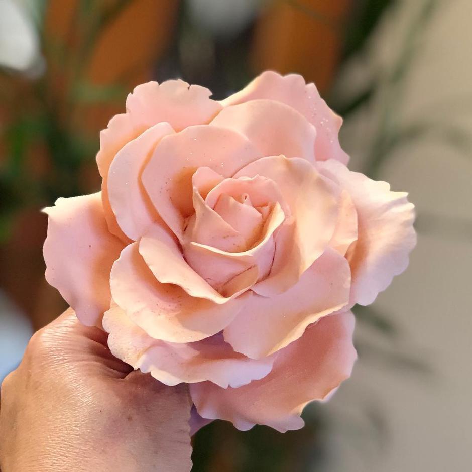 ruža | Autor: Instagram @haileybieber