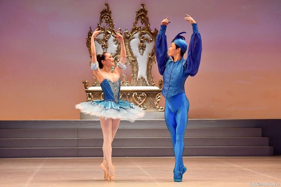  | Autor: Ines Novković