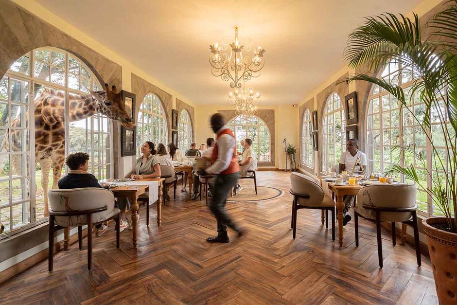  | Autor: https://www.thesafaricollection.com/properties/giraffe-manor/