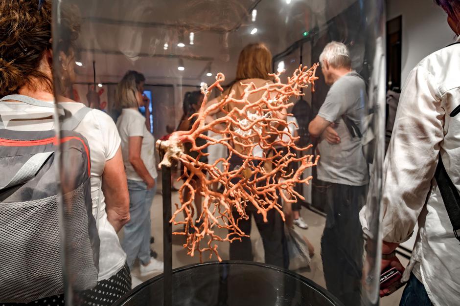  | Autor: www.hckz.hr