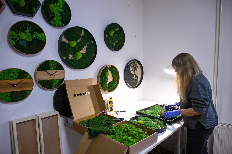  | Autor: Pixsell/Igor Šoban