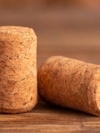 Pluteni čep djelotvoran je protiv vinskih mušica