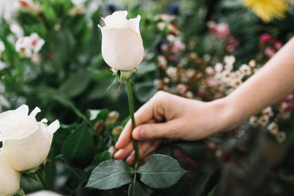  | Autor: freepik/freepik