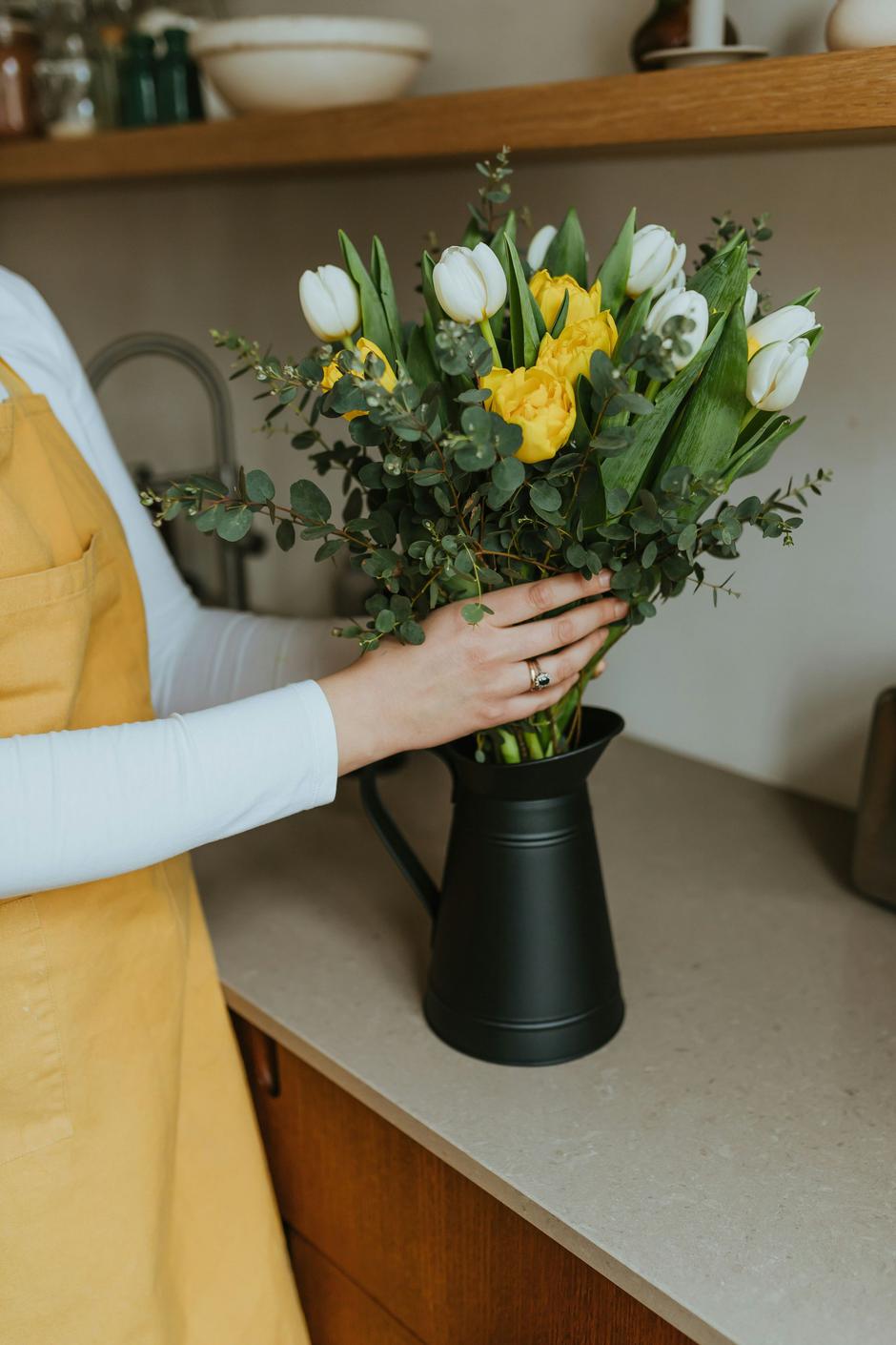  | Autor: Unsplash+/Daiga Ellaby