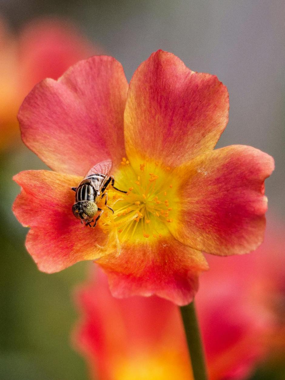  | Autor: Pexels/Zailani Abd. Rahman