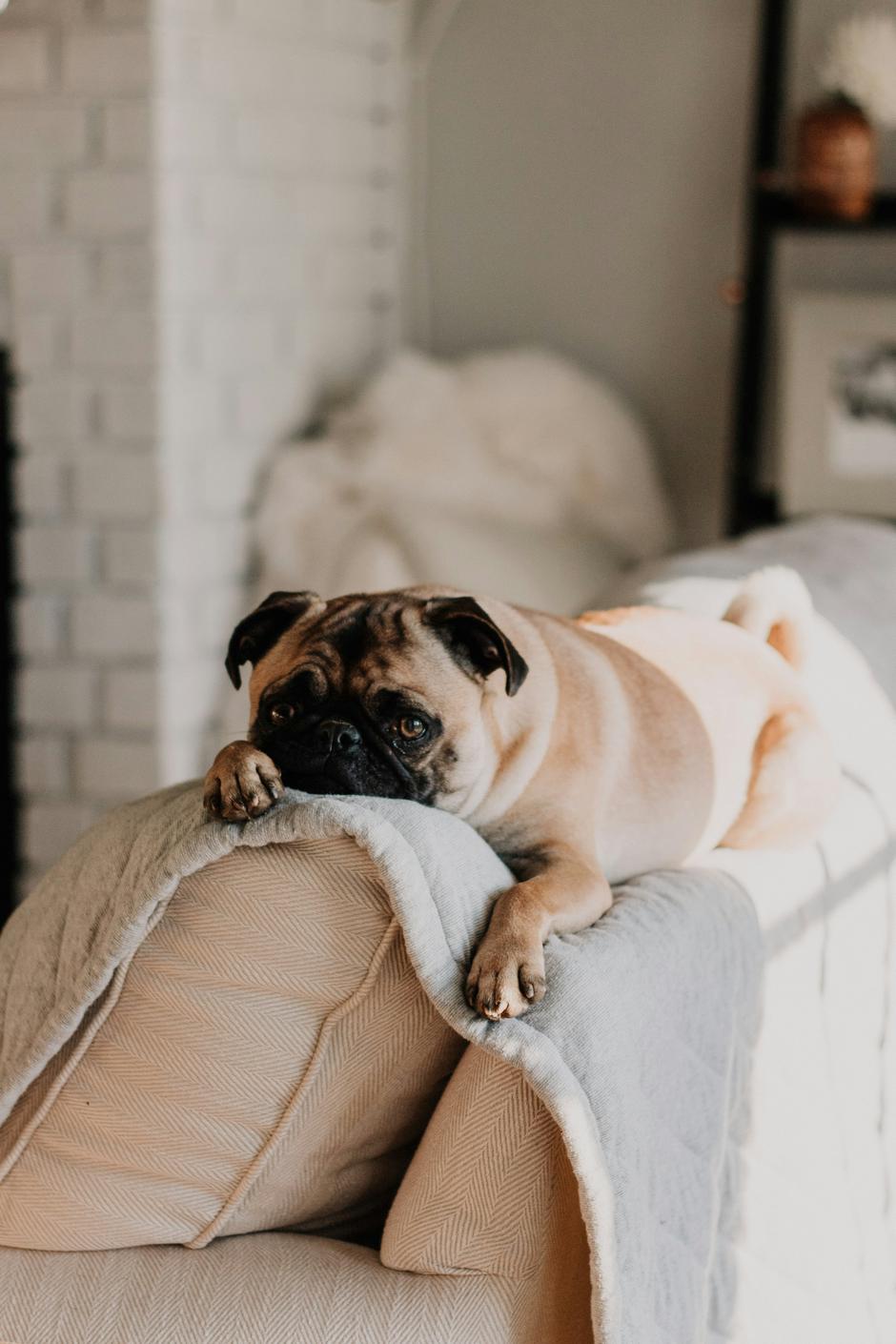  | Autor: Unsplash/sarandy westfall