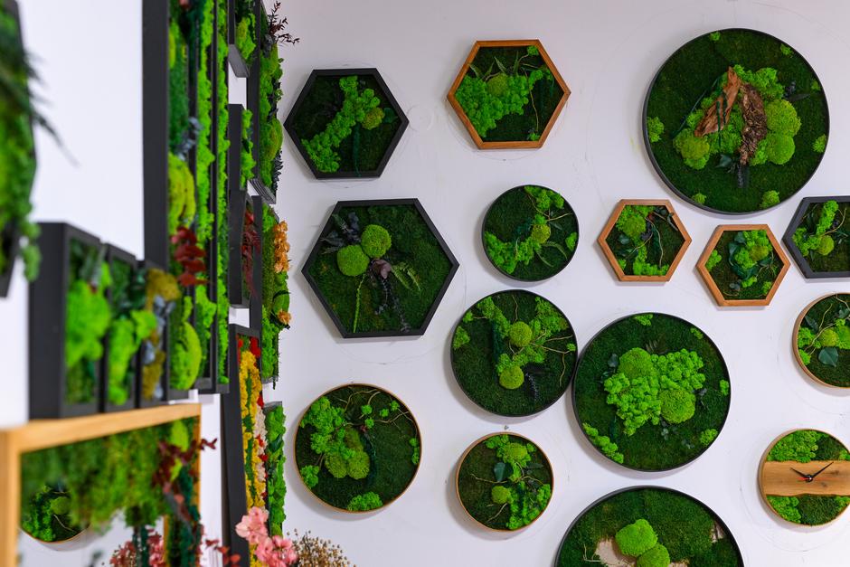  | Autor: Pixsell/Igor Šoban