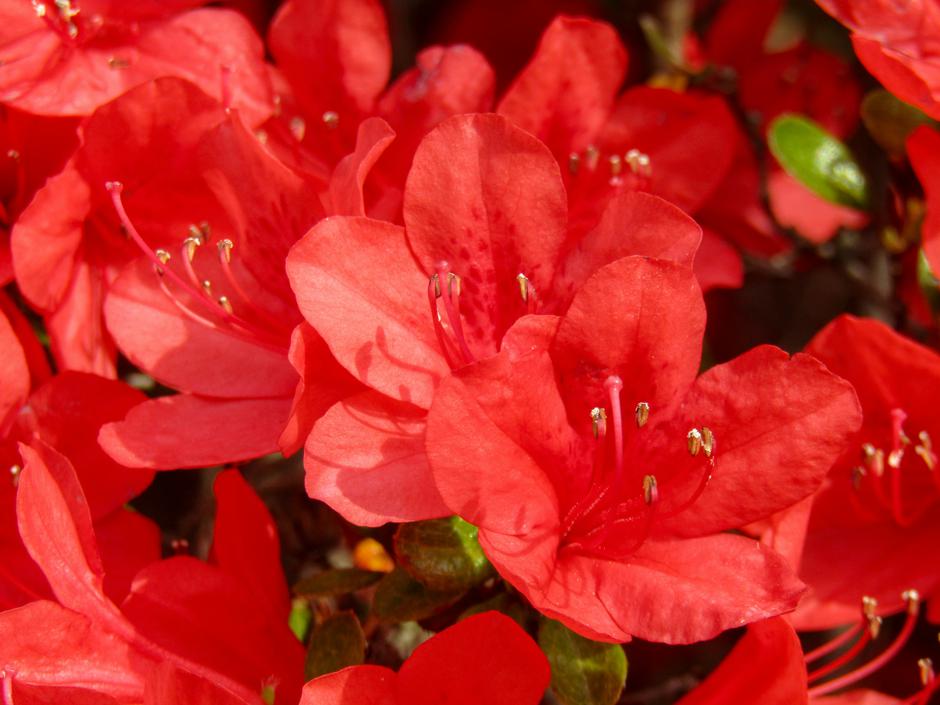  | Autor: Unsplash/yamasa-n