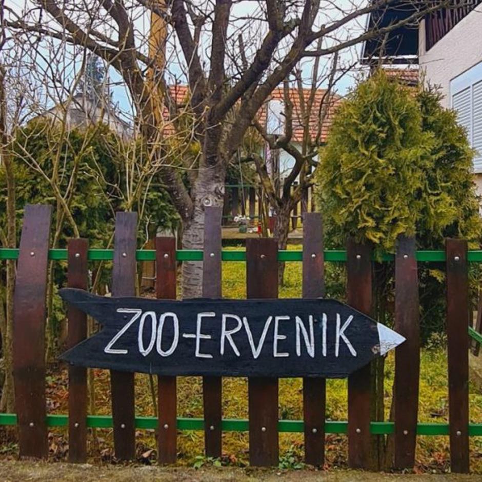  | Autor: Facebook/Zoo Ervenik