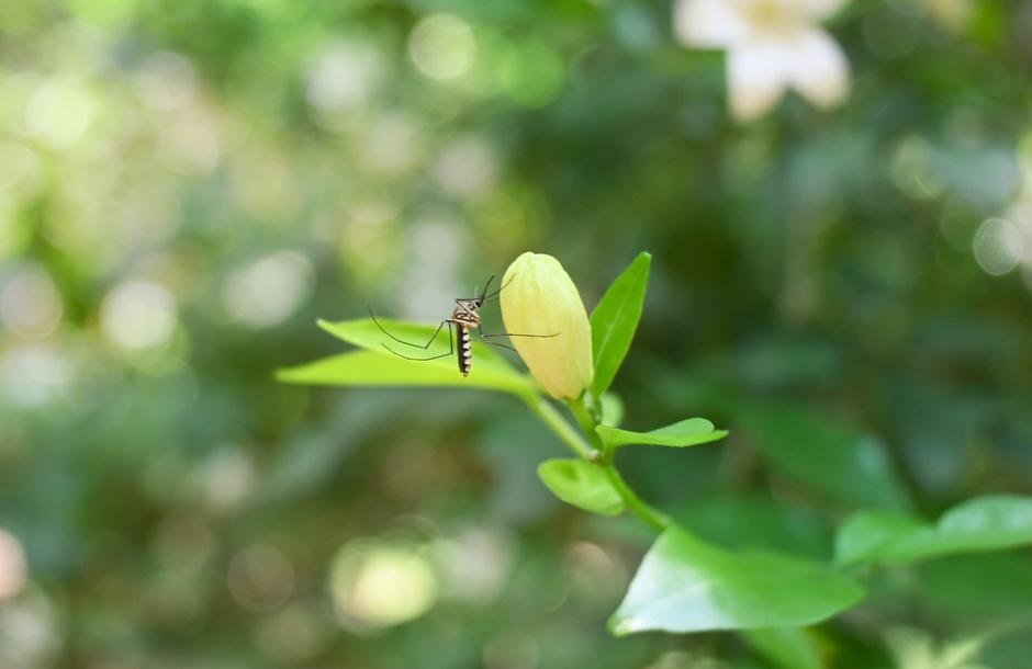  | Autor: Unsplash / Satheesh Sankaran