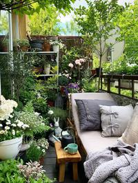 Biljke za balkon