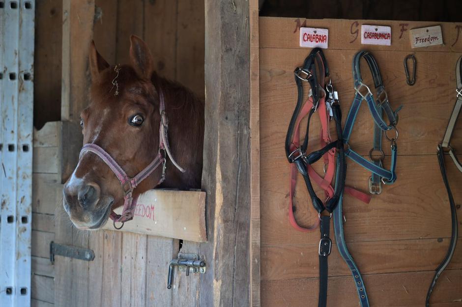  | Autor: Rene Karaman