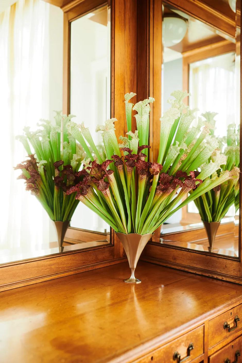  | Autor: Zara Home