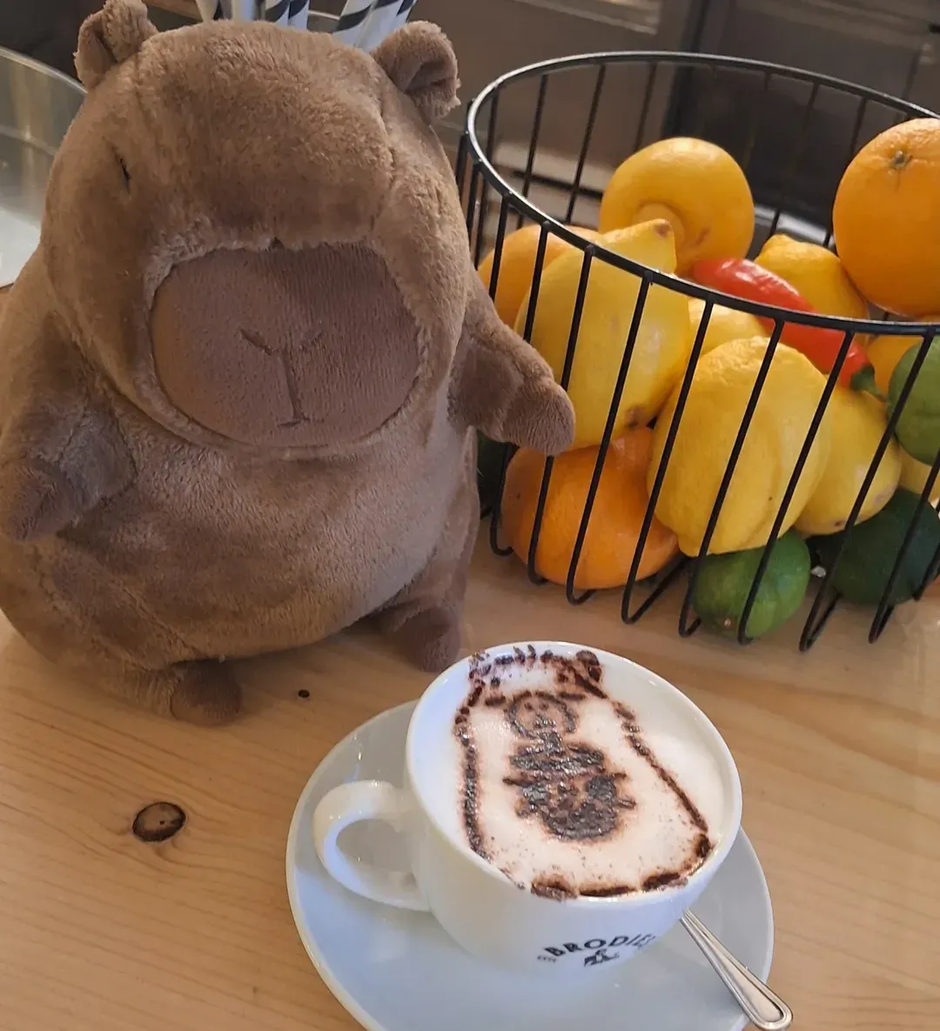  | Autor: Instagram @capibaracaffezagreb