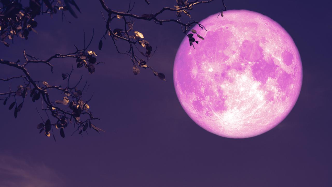Ružičasti mjesec