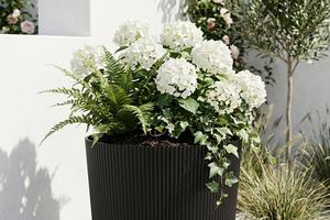 FOTO: Bacamo se na uređenje terase ili balkona. Ove Sinsay tegle za biljke će im dati dozu šarma