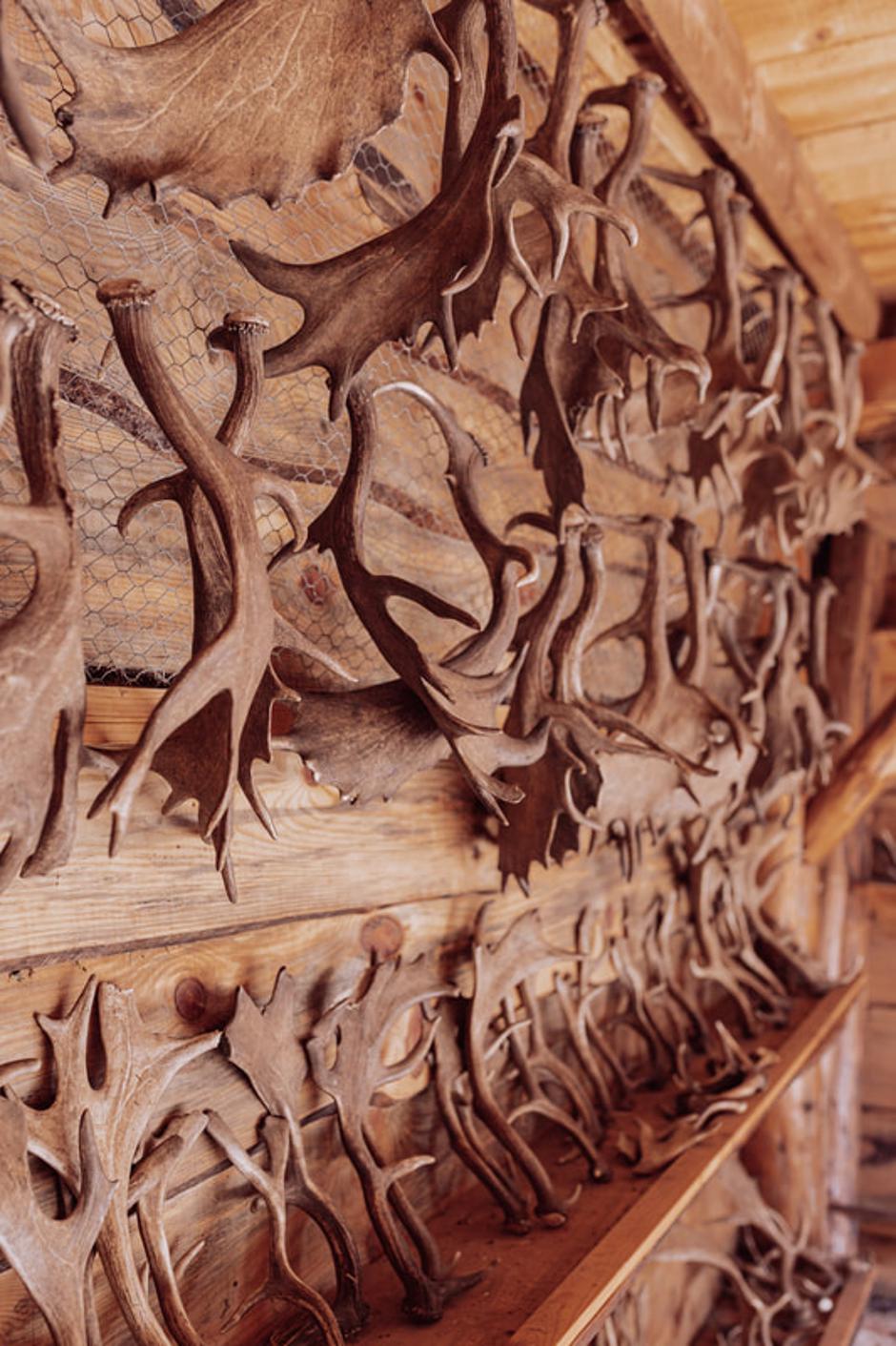  | Autor: ranch-deervalley.com