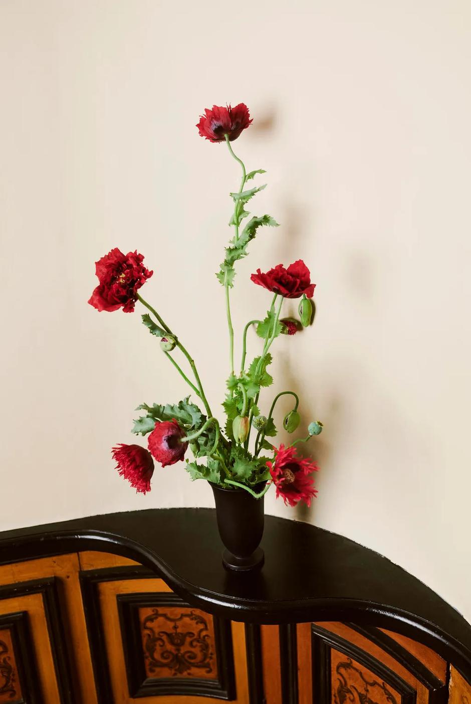  | Autor: Zara Home