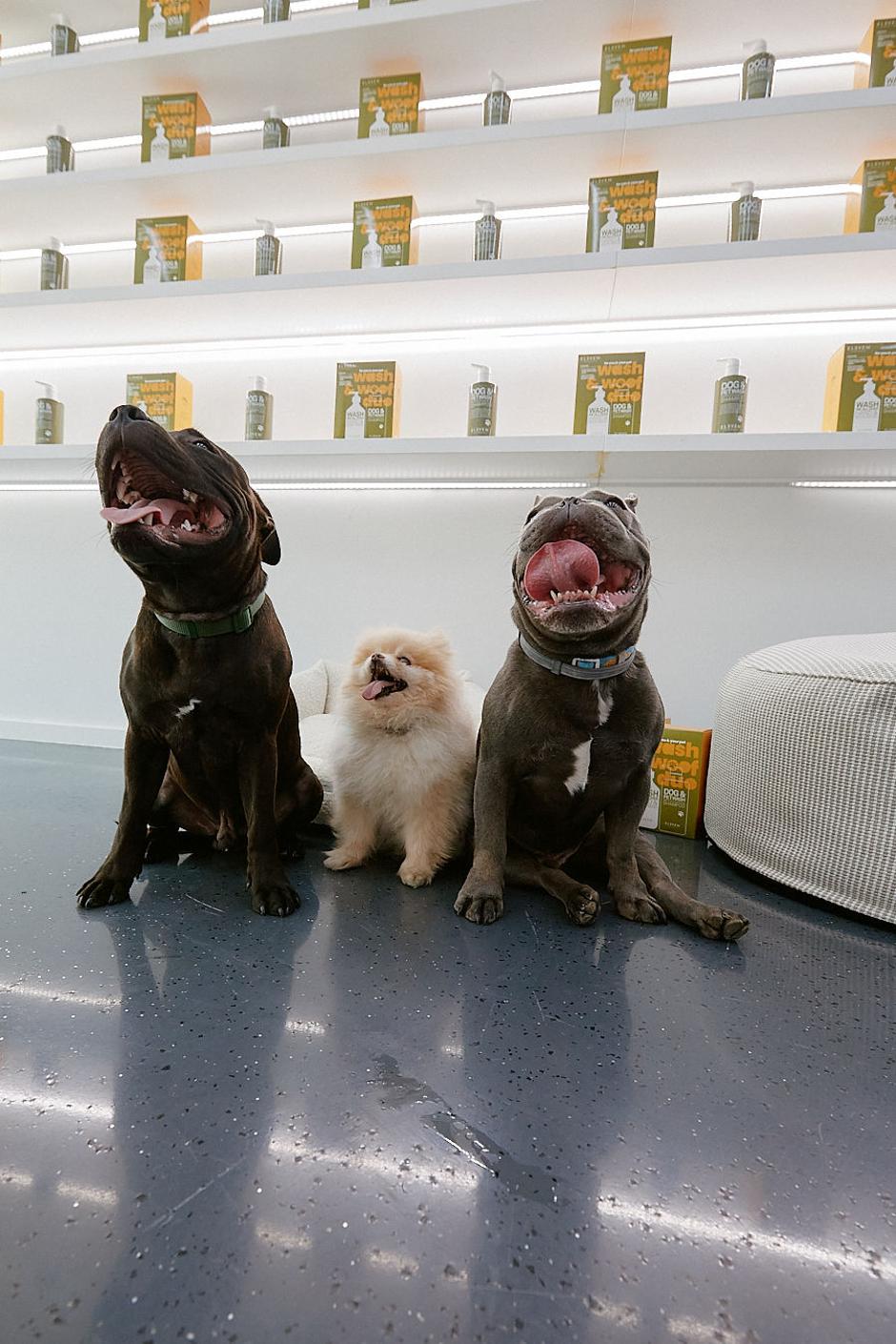  | Autor: Zvonimir Ferina