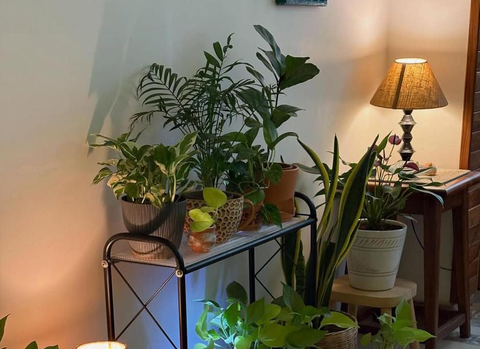  | Autor: Instagram @happydothome