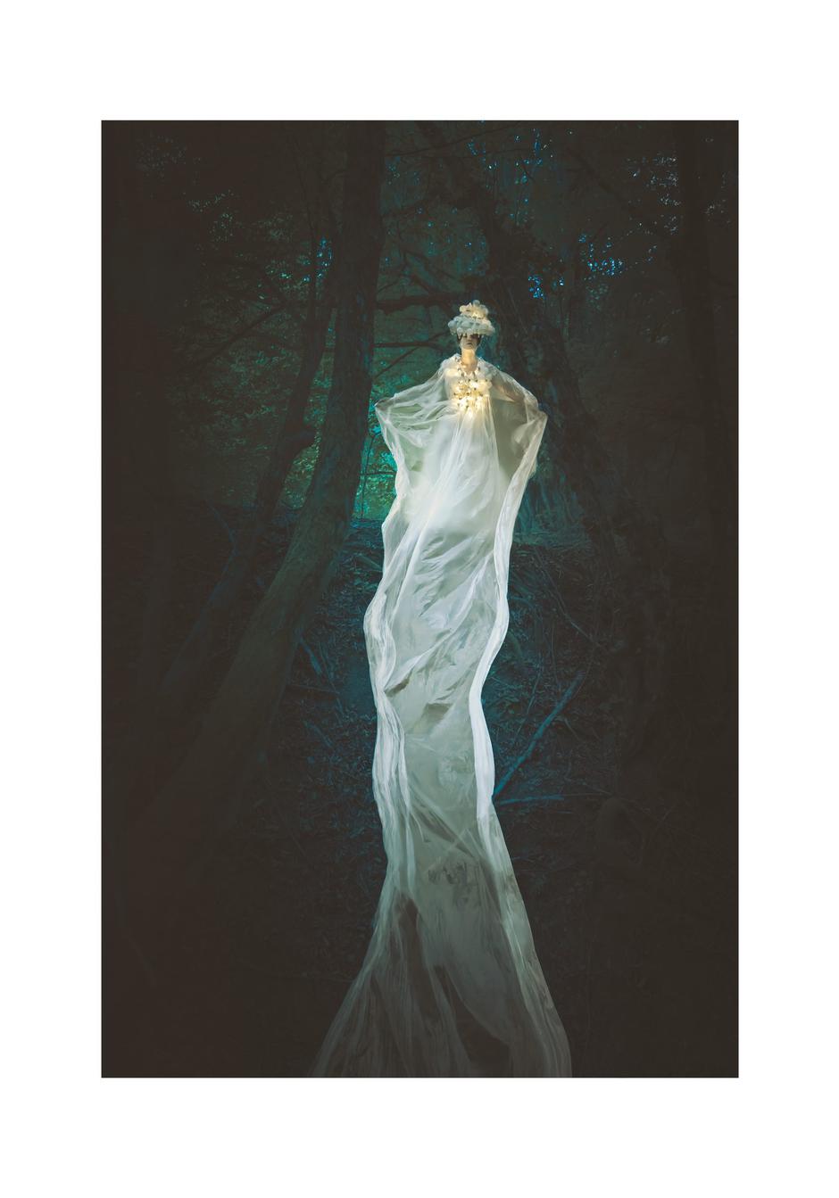  | Autor: Tomislav Marić