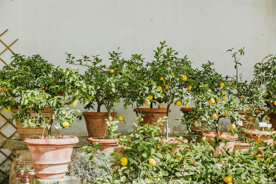  | Autor: Unsplash/Anita Austvika