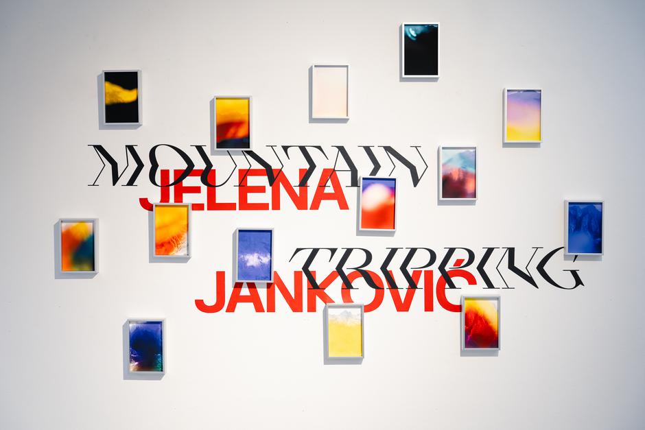 | Autor: Jelena Janković