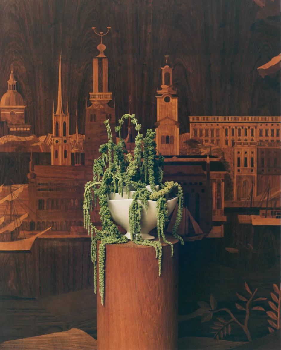  | Autor: Zara Home
