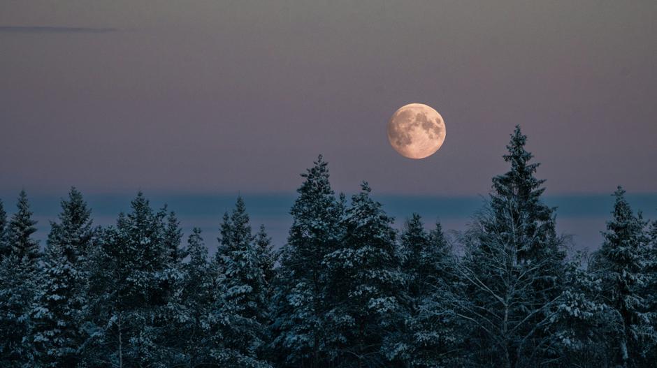  | Autor: Unsplash/Juho Luomala